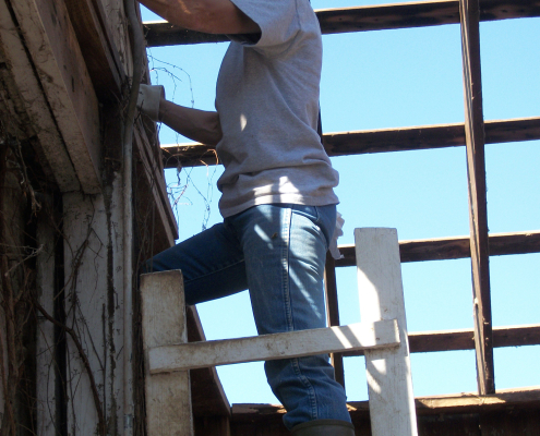 barnup1